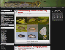 Tablet Screenshot of butterflyclub.kv1jalahalli.org